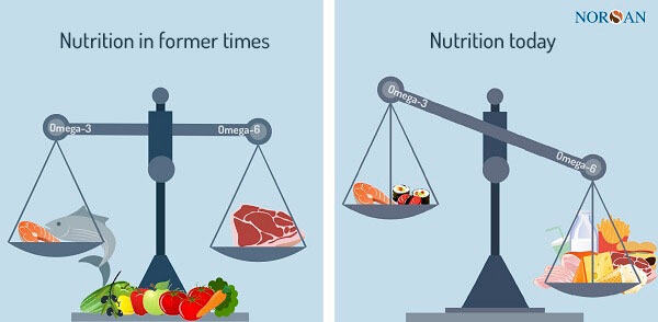 omega 6 & 3 dependancy